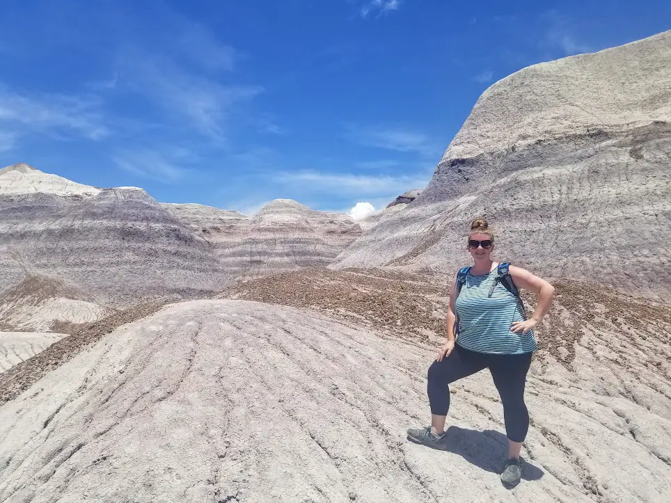 Petrified Forest